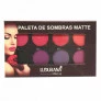 Paleta de Sombras Matte Ludurana B00043